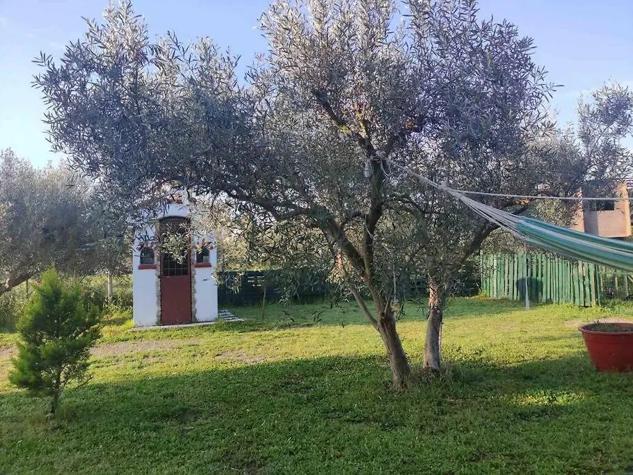 Πετρινη Κατοικια Στην Φυση Βίλα Ταγαράδες Σπίτι διακοπών